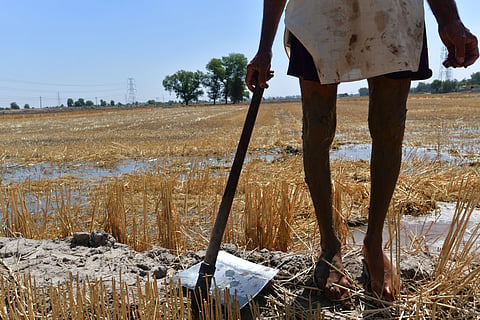 A farmer working in his field